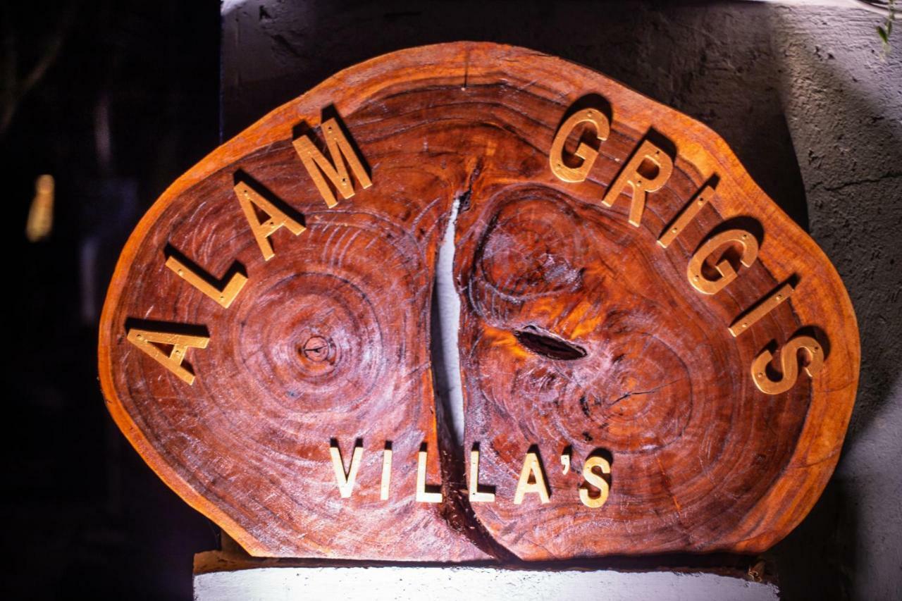Alam Grigis Ubud 外观 照片